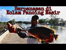 Check spelling or type a new query. Kolam Pancing Taman U Kolama