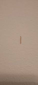 Maden Im Flur An Der Decke Was Konnen Wir Machen Tiere Wohnung Insekten