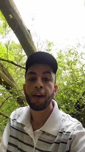 Crazy Tree Transformation Caught