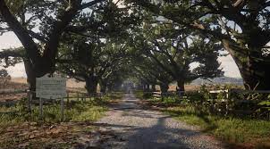 It lies along the shore of flat iron lake to the west. Braithwaite Manor Red Dead Redemption Wiki Fandom