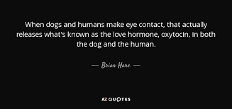 Explore our collection of motivational and famous quotes by authors you eye contact quotes. Brian Hare Quote When Dogs And Humans Make Eye Contact That Actually Releases