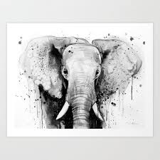 African Elephant Black And White Elephant Pictures Elephant Head Art Printelephant Head Art Print Set The Tone Of Your Room From The Walls Out 8221 F In 2020 Watercolor Elephant Elephant Painting Elephant Head Drawing