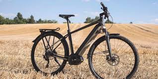 Explore Kangaroo Island On E Bikes This December Glam Adelaide
