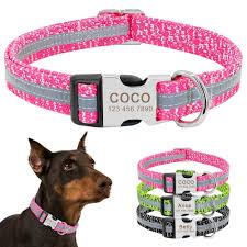 Kopek Kedi Tasmasi Kunyeli Reflective Bulldog Kopek Aksesuarlari Kopek
