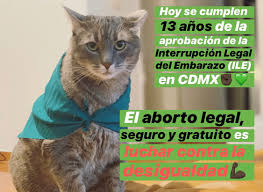 El aborto es una herida que no sana con el tiempo, estamos legalizando un dolor, estaríamos ante el mayor genocidio de la civilización humana. Gatitos Contra La Desigualdad En Twitter Nos Unimos Al Panuelazo Para Celebrar Los 13 Desde La Aprobacion Del Aborto Legal En La Cdmx Es Nuestro Derecho A Decidir Sobre Nuestro Cuerpo Por
