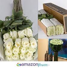 Does costco deliver flowers in canada. Roses 28 Inches Length Amazon Flowers Proms Weddings Costco Wedding Flowers Diy Wedding Flowers Diy Wedding Flowers Bouquet