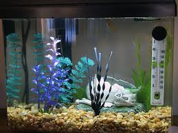 Check spelling or type a new query. How To Design A Glass Aquarium