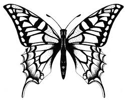 Butterfly Butterfly Tattoo Designs Butterfly Tattoo Special Tattoos