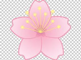 Cherry Blossom Drawing Png Clipart Birdcage Blossom Cartoon Cherry Cherry Blossom Free Png Download Plant hand drawn plants cartoon plant cartoon cherry blossom. cherry blossom drawing png clipart