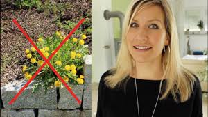 Was kann man aber in der zwischenzeit tun, um die schmerzen wenigstens zu lindern? Beste Waffe Gegen Lowenzahn Youtube