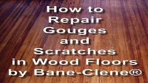 Once you have finished sanding, you fill any nicks or gouges in the floor. How To Repair Scratches Gouges And Holes In Wood Floors Video From A Bane Clene Training Seminar Youtube