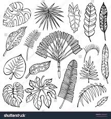 How to draw tropical leaves using watercolor. Drawing Simple Palm Tree Leaf Drawing
