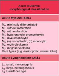 Fab Classification Acute Leukemias Definition Of Fab Classification Acute Medical Laboratory Technician Medical Laboratory Science Medical Surgical Nursing
