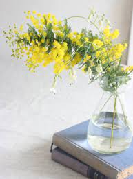 ミモザのおしゃれな生け方 飾り方 フラワーアレンジで長もちさせるコツ 背景 シンプル 花 壁紙 フラワーアレンジ