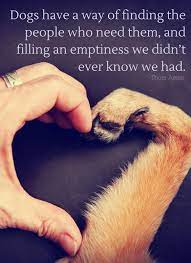 Inspirational And Motivational Quotes Quotation Image Quotes Of The Day Life Quote 23 Amazing Quotes For Dog And Anima Dog Quotes Dog Love Dogs