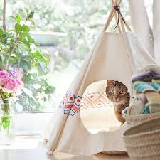 как сделать домик для кошки своими руками в домашних условиях Kak Sdelat Domik Dlya Koshki 10 Sposobov Svoimi Rukami Poshagovaya Instrukciya Igrovoj Kompleks V Domashnih Usloviyah Iz Kartona V 2020 G Domiki Derevya Dlya Koshek Ruki