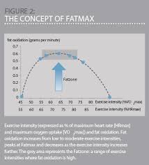 how to burn fat high5