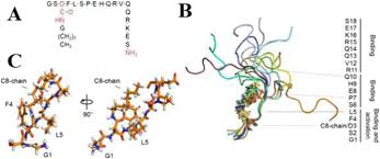 Check spelling or type a new query. Biomembranes 2018 Springerlink