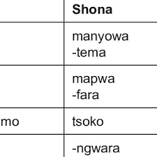 They are found in zimbabwe, botswana and southern mozambique in southern africa and bordering south africa. Pdf Is Ndau A Dialect Of Shona