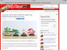 Pin By Anne Kelbley On Cards Papercrafts Japanese Bonsai Tree Japanese Bonsai Bonsai Soil