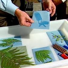 Nature Sun Sensitive Paper Experiments Steve Spangler Science