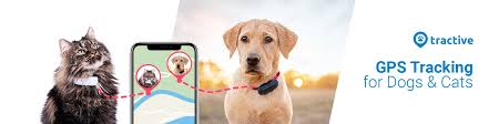 A gps pet tracker can save your cat's or dog's life if it ever escapes home. Tractive Linkedin
