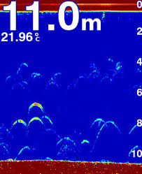 Check spelling or type a new query. How To Read A Fish Finder A Complete Guide To Fishfinders Fishfinder Hq