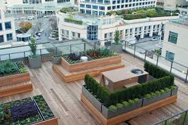 Vancouver's carbon footprint is seemingly an obvious prediction. The Vancouver Club Rooftop Garden News