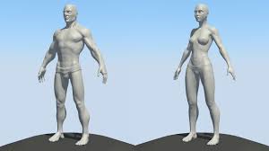 See more ideas about anatomy reference, anatomy, man anatomy. Male Female Anatomy From Memory No References Used Warning Partial Nudity Finished Projects Blender Artists Community