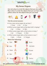 Activity based printable pdf worksheets. Body Parts Evs Worksheets For Class 1 Ncert Cbse Class 1