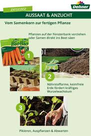 Entdeckt Die Bunte Welt Der Aussaat Und Anzucht Und Mit Einigen Tipps Konnt Auch Ihr Zum Gourmetgartnern Werden In 2020 Garten Anpflanzen Aufbewahrung Garten Pflanzen