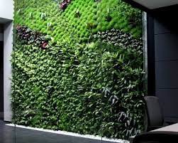 These vertical gardens are ideal for all seasons, including the autumn and winter. Spain S Largest Vertical Garden Cleans Indoor Office Air