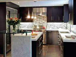 Best collection chicken cabinet design ever!! 53 Modern Style Kitchen Ideas Shrink My Home