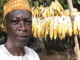 Annual Report 2006–2007