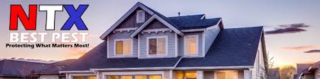 Great views and great people are the cornerstones of this amazing city. Casey Slingerland Independent Business Owner Ntx Best Pest Linkedin