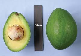 Image result for Avocado Light 1972 Crown