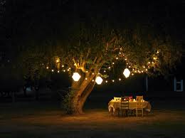 We did not find results for: Solar Garden Lights 10 Lights For Your Outdoor Space