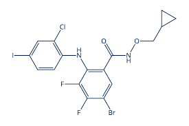 Image result for MEK Inhibitor