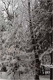 December, january and february are the winter months the weather is cold, usually it snows. 2019 Daily Planner Winter Season Snowy Forest 384 Pages Notebook Diary Blank Book 2019 Planners Calendars Organizers Datebooks Appointment Books Agendas Amazon De Journals Distinctive Fremdsprachige Bucher