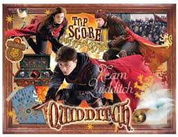 Puzzle 1000 teile, 70x50 cm, harry potter. Puzzle Harry Potter Tm Quidditch Winning Moves 02497 1000 Pieces Jigsaw Puzzles Posters Cinema Advertising Jigsaw Puzzle