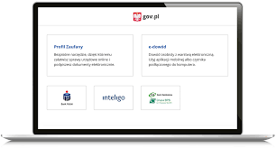 Narodowy spis powszechny ludności i mieszkań w 2021 r. Krok 2 Zaloguj Sie Na Internetowe Konto Pacjenta Pacjent