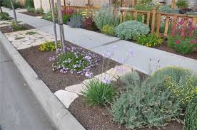 Park Strip Planting Water Wise Landscaping Sidewalk Landscaping Waterwise Landscaping