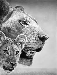 Animal Instinct Pencil Illustrations By Franco Clun Pondly Realistic Pencil Drawings Animal Drawings Cool Pencil Drawings