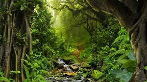 Take this quiz to find out what kind of natural beauty you are! An Article On The Beauty Of Nature Steemit