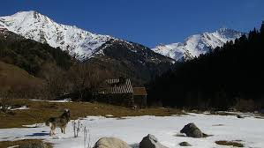 Vous êtes à la recherche d'une maison à vendre à montluçon ? Le Parc National Des Pyrenees Vend Ses Maisons De Gardien Figaro Immobilier