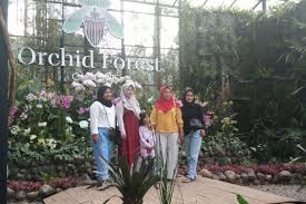 Merasakan Paket Komplet Liburan Di Orchid Forest Cikole Halaman All Kompas Com