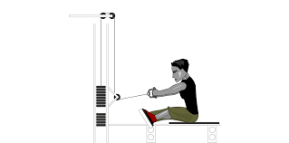 Is the seated cable row right for you? Back Muscles Seated Cable Row