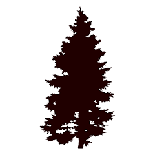 Pine Tree Vector Ad Ad Sponsored Vector Tree Pine Vector Tree Vector Png Maple Leaf Tattoo