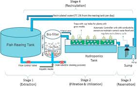 This method is accomplished by allowing the nutrient solution to continuously flow over. Design And Development Of A Portable And Streamlined Nutrient Film Technique Nft Aquaponic System Sciencedirect