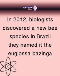 Bazinga Video Game Facts Name It Tv Videos